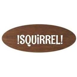 Unicorn SPiT Gel Stain and Paint New Color Fall 2017 Complete Collection - Squirrel, Navajo Jewel, Weathered Daydream, and Rustic Reality 4 oz Bottles