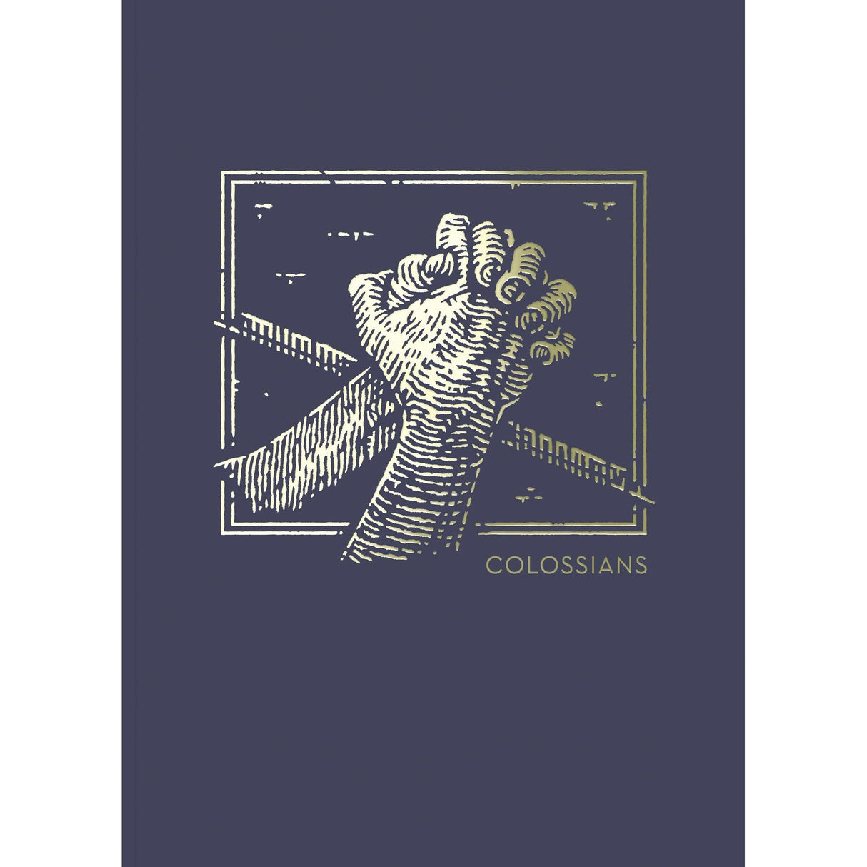 NET Abide Bible Journal - Colossians, Paperback, Comfort Print: Holy Bible [Paperback] Thomas Nelson and Taylor University Center for Scripture Engagement
