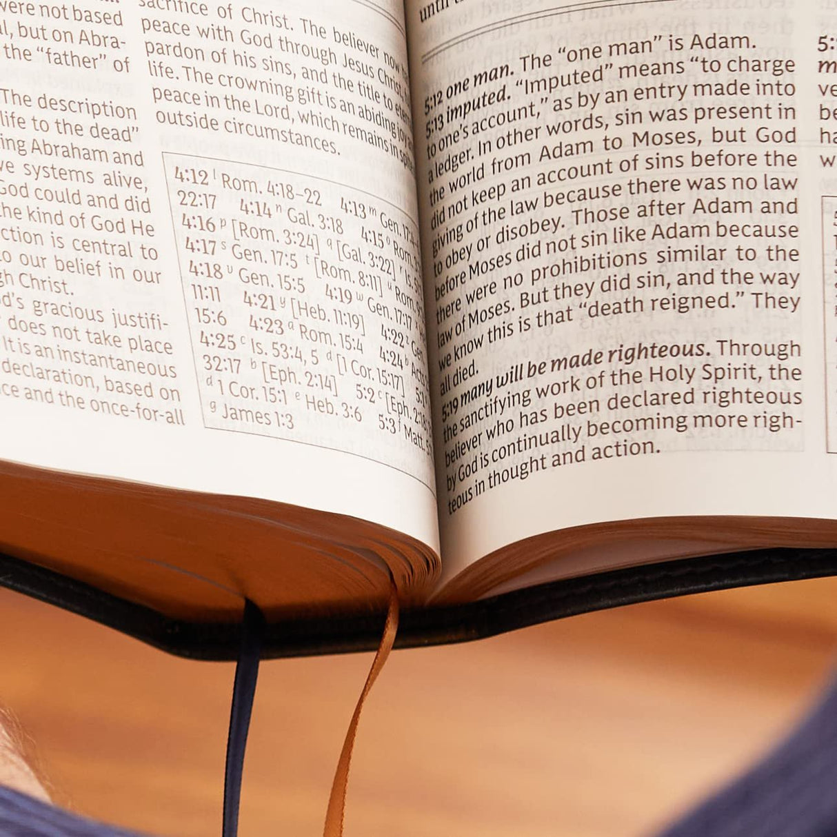 NKJV, Foundation Study Bible, Hardcover, Red Letter: Holy Bible, New King James Version [Hardcover] Thomas Nelson