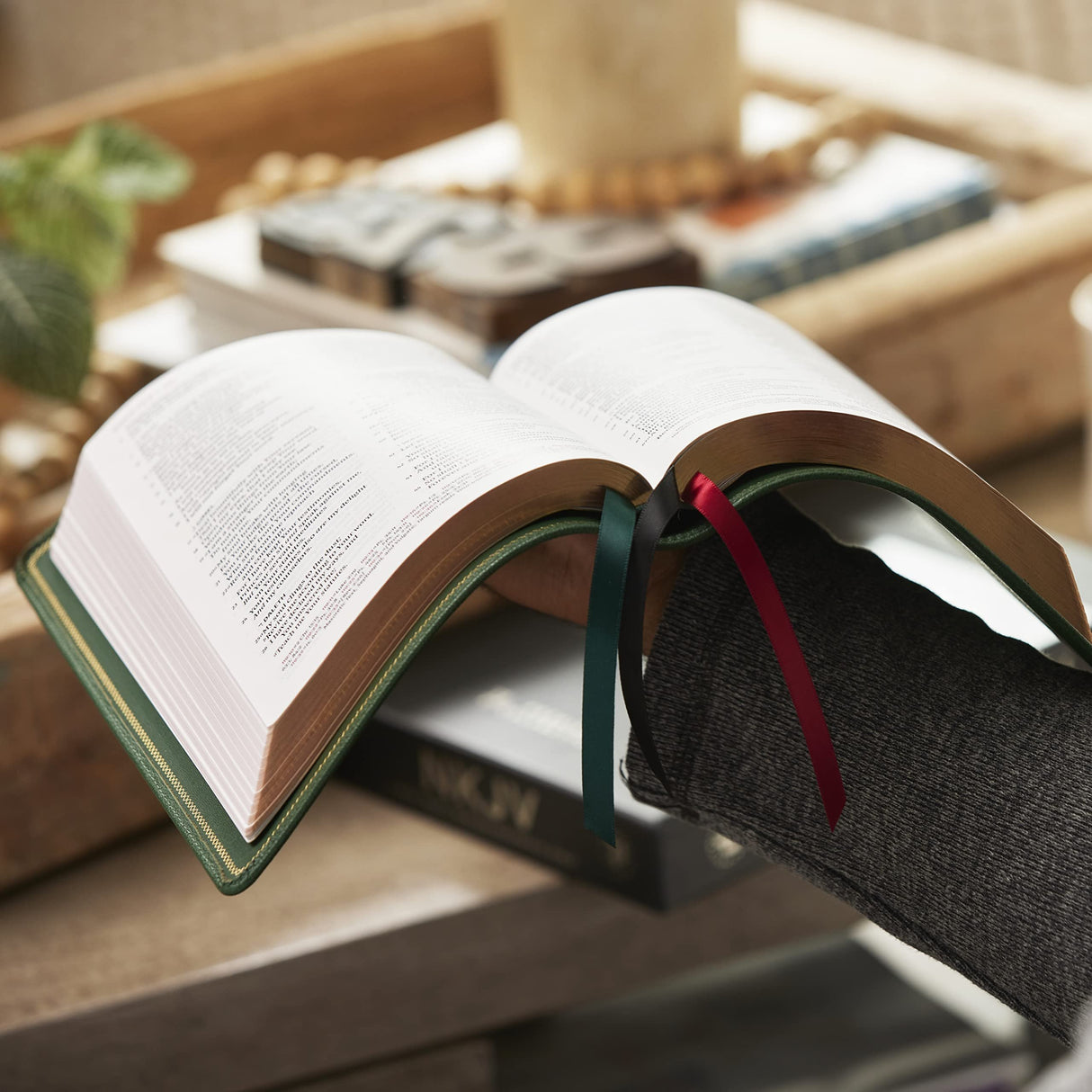 NKJV, Thinline Reference Bible, Large Print, Premium Goatskin Leather, Green, Premier Collection, Red Letter, Comfort Print: Holy Bible, New King James Version Thomas Nelson
