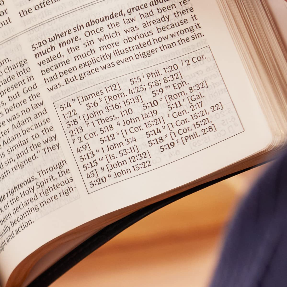 NKJV, Foundation Study Bible, Hardcover, Red Letter: Holy Bible, New King James Version [Hardcover] Thomas Nelson