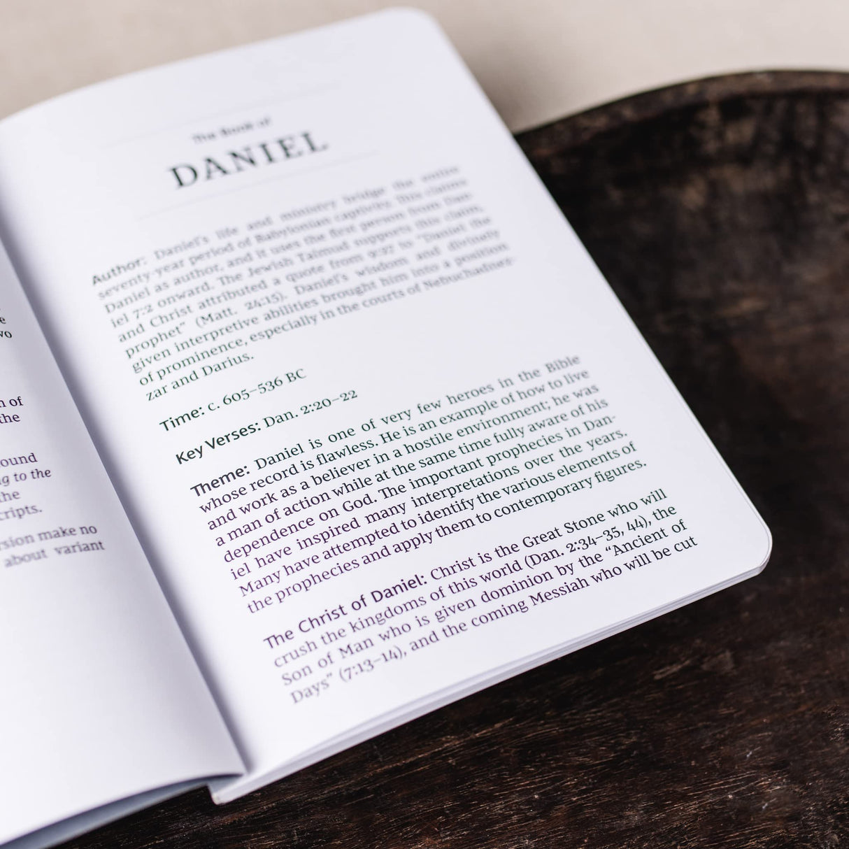 NKJV Bible Journal - Daniel, Paperback, Comfort Print: Holy Bible, New King James Version [Paperback] Thomas Nelson