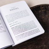NKJV Bible Journal - Daniel, Paperback, Comfort Print: Holy Bible, New King James Version [Paperback] Thomas Nelson