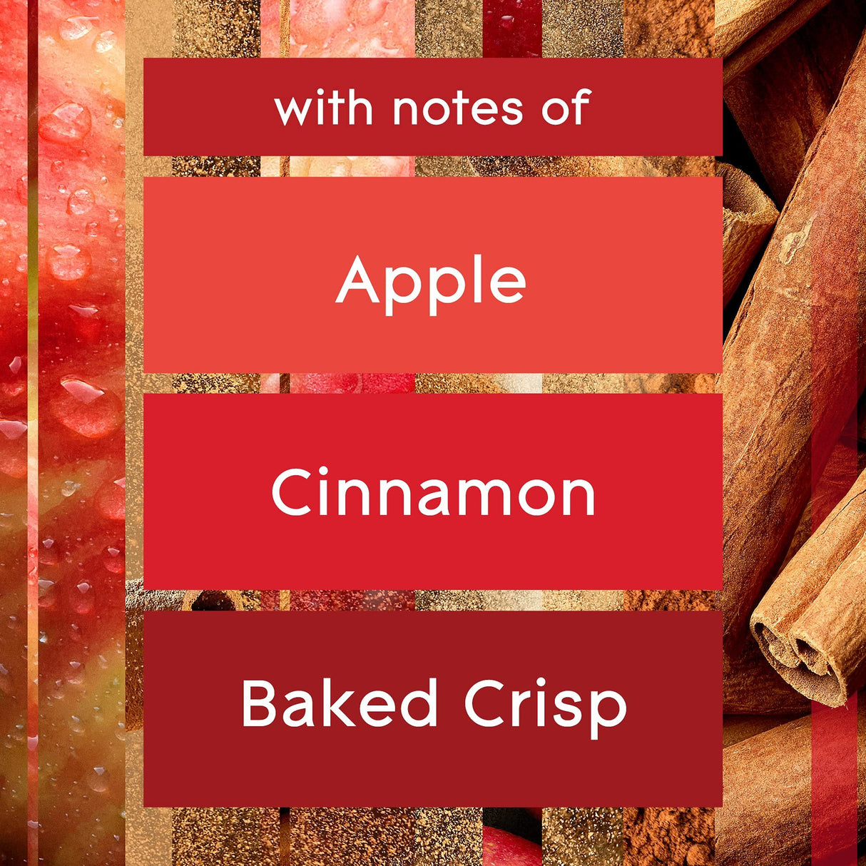 Glade PlugIns Refills Air Freshener Starter Kit, Scented and Essential Oils for Home and Bathroom, Apple of My Pie, 0.67 Fl Oz, 1 Warmer + 1 Refill