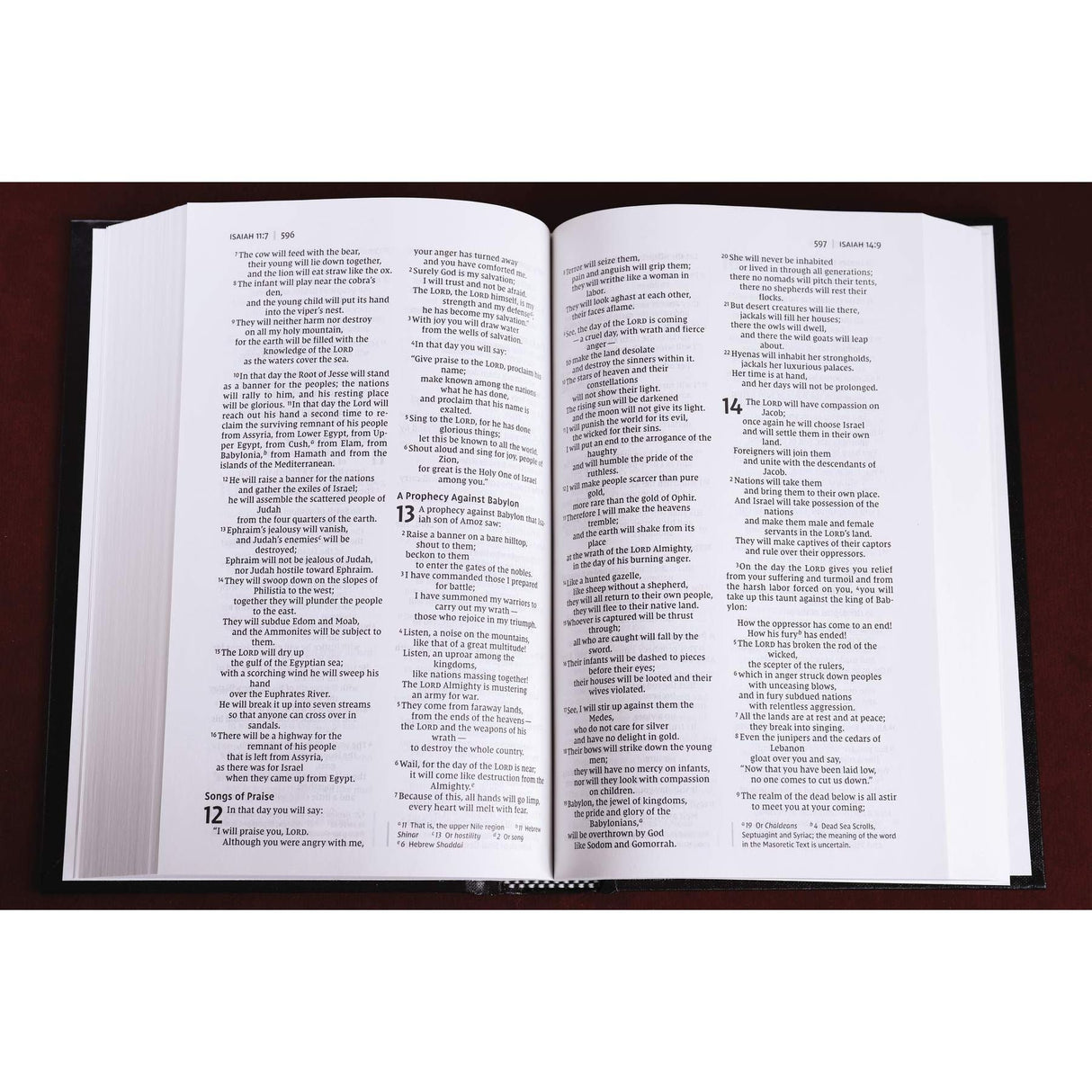 NIV, Pew and Worship Bible, Hardcover, Black, Comfort Print [Hardcover] Zondervan