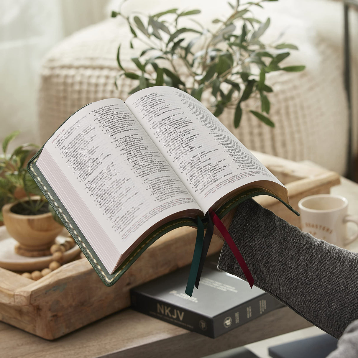 NKJV, Thinline Reference Bible, Large Print, Premium Goatskin Leather, Green, Premier Collection, Red Letter, Comfort Print: Holy Bible, New King James Version Thomas Nelson