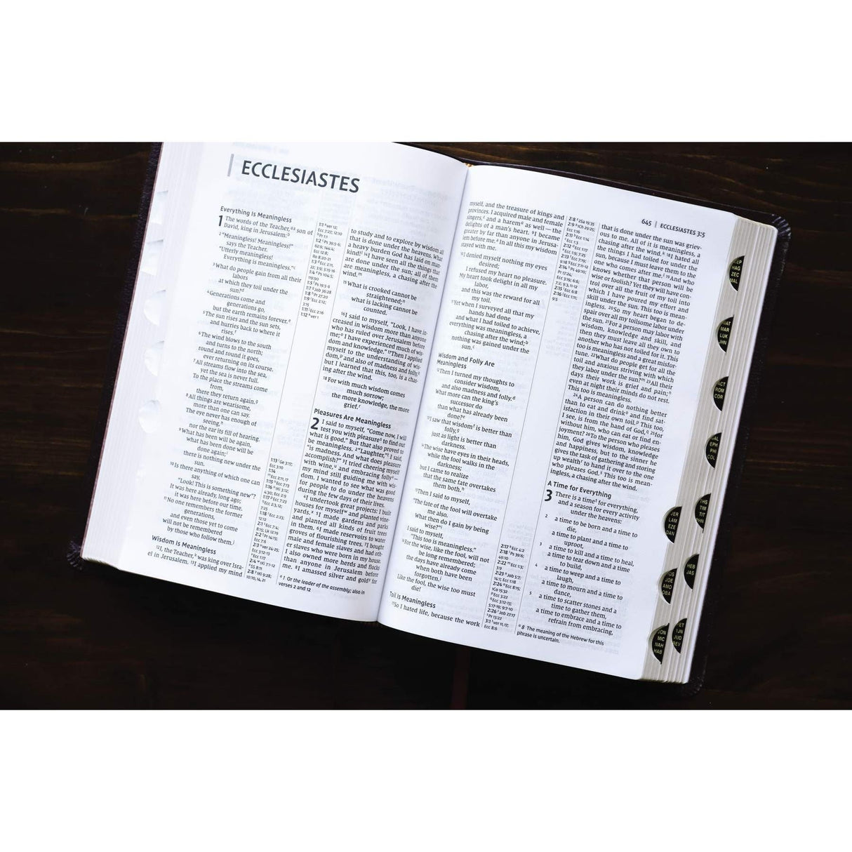 NIV, Thinline Reference Bible (Deep Study at a Portable Size), Bonded Leather, Burgundy, Red Letter, Thumb Indexed, Comfort Print [Bonded Leather] Zondervan
