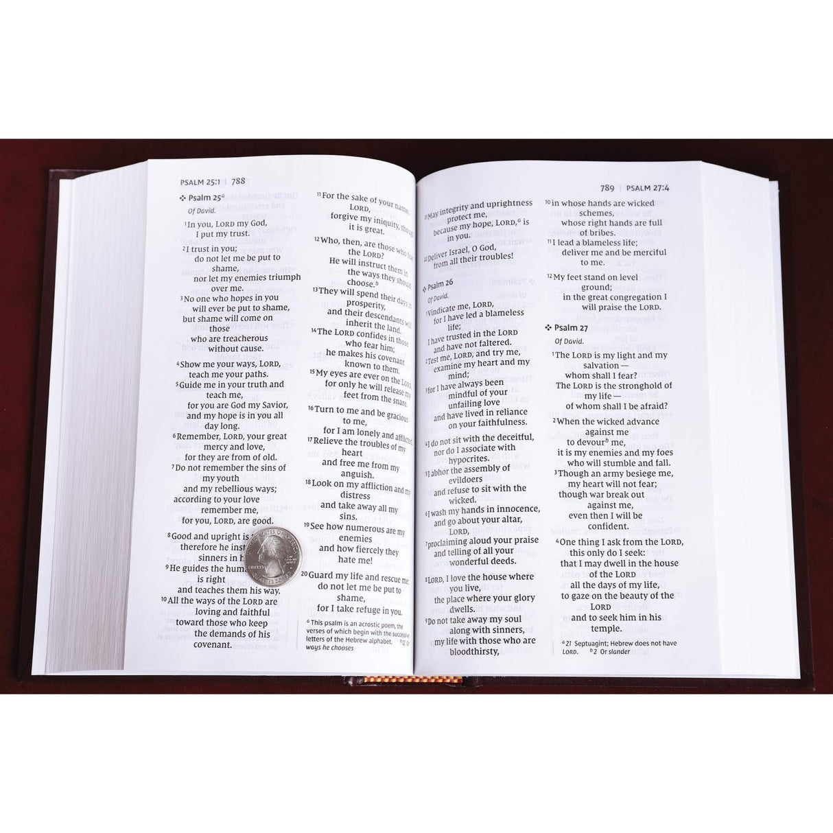 NIV, Pew and Worship Bible, Large Print, Hardcover, Burgundy, Comfort Print [Hardcover] Zondervan